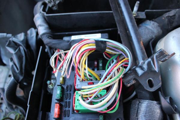 Volkswagen Electrical Repairs Denver
