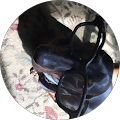 Julie Spahn profile picture