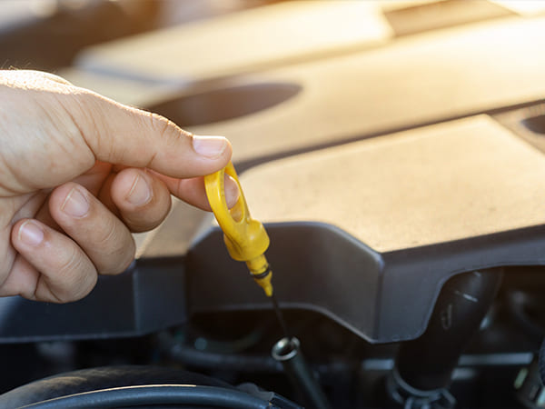 How to Extend Vehicle Lifespan